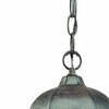 Homeroots 20 x 9.5 x 9.5 in. Telfair 2-Light Black Coral Hanging Light 398011